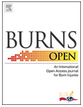 portada Burns Open - Vol. 2; No. 3 (2018)