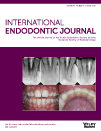 endodontic