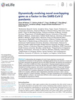 Dynamically evolving novel overlapping gene as a factor in the SARS-CoV-2 pandemic