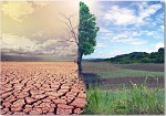 Día Mundial de Lucha contra la Desertificación y la Sequía, 2021