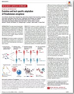 Evolution and host-specific adaptation of Pseudomonas aeruginosa