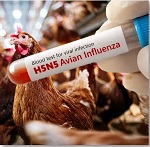 Gripe aviar H5N5 