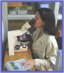 Estudios de genética toxicológica