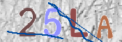 Imagen CAPTCHA
